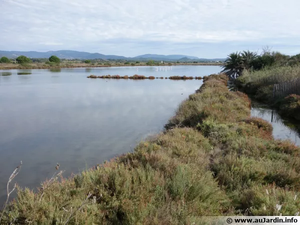 Les anciens salins du midi à Hyères