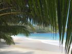 Les Seychelles, des plages paradisiaques mais aussi une faune et une flore unique préservée Les Seychelles, des plages paradisiaques mais aussi une faune et une flore unique préservée
