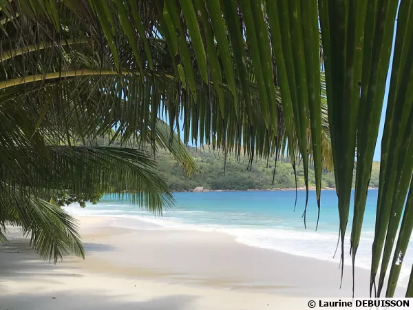 Les Seychelles, des plages paradisiaques mais aussi une faune et une flore unique préservée