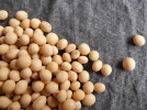 Les bienfaits du soja