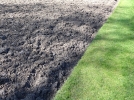 Labourer ou arer/ameublir/dcompacter la terre de son potager?