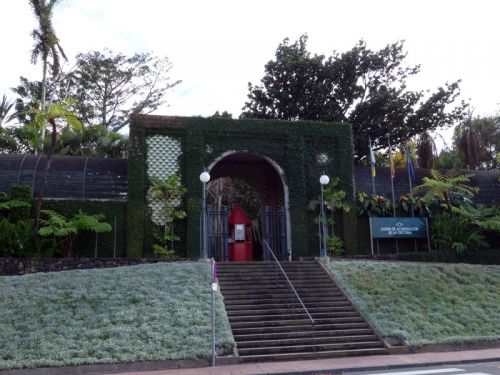 Le jardin botanique de l'Orotava à Tenerife