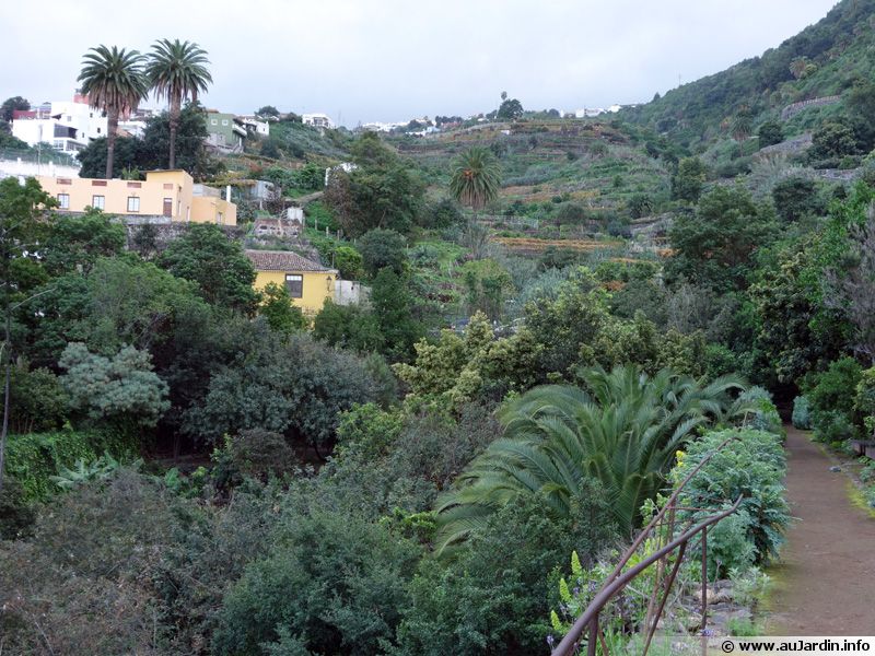 Le parc du Drago à Ténérife
