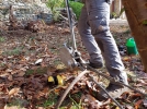 Comment utiliser un tire-fort pour arracher un arbre ou une souche?