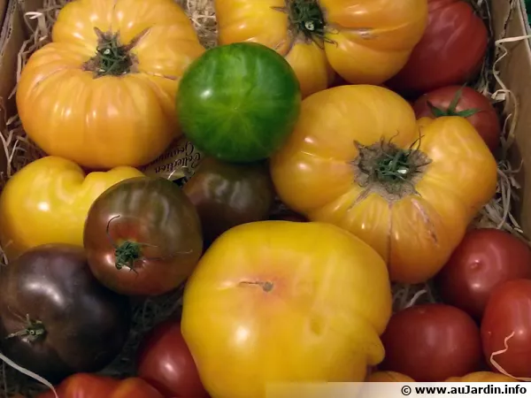 La slow food, une véritable invitation à réapprendre à mieux manger
