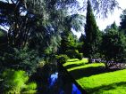 L'arboretum de Trompenburg en Hollande, vue 1 L'arboretum de Trompenburg en Hollande, vue 1