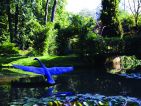 L'arboretum de Trompenburg en Hollande, vue 3 L'arboretum de Trompenburg en Hollande, vue 3