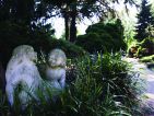 L'arboretum de Trompenburg en Hollande, vue 4 L'arboretum de Trompenburg en Hollande, vue 4