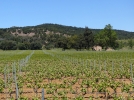 Comment entretenir son verger?