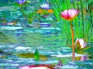 Vronique LANGLOIS, une artiste photographe