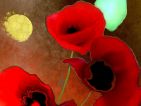 Véronique LANGLOIS, Soleil et trio de coquelicots