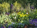 « Folie dans la prairie », massif