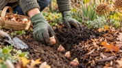 10 gestes d'automne � faire maintenant pour pr�parer un jardin plus fleuri d�s les premiers beaux jours du printemps