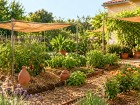 Adapter son jardin aux �t�s br�lants devient plus simple avec ces r�flexes efficaces et naturels