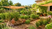 Adapter son jardin aux �t�s br�lants devient plus simple avec ces r�flexes efficaces et naturels