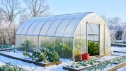Ne laissez plus le froid tuer vos r�coltes : cette serre bien choisie vous garantit une abondance inattendue