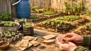Les astuces des jardiniers �conomes en avril pour �conomiser des centaines d'euros tout l'�t� au potager bio enfin