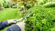 Avoir un jardin permet de r�duire ses imp�ts� encore faut-il savoir comment en profiter