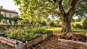 Ce que beaucoup de jardiniers ignorent sur le noyer explique pourquoi certaines plantes d�p�rissent � proximit�