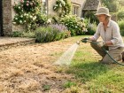 Canicule au jardin : les bons r�flexes pour prot�ger un gazon qui brunit et favoriser sa reprise