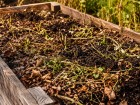 Carr� potager sur�lev�, ces gestes simples apr�s la r�colte gardent une terre vivante avant l'hiver prochain