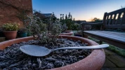 Cette cuill�re pos�e dans vos pots peut tout changer face au gel peu de jardiniers connaissent ce geste pr�ventif