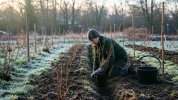 Cette erreur de timing ruine vos r�coltes de petits fruits chaque ann�e : voici ce que font les vrais connaisseurs en f�vrier