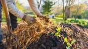 Comment pr�parer une butte de culture pour obtenir un sol vivant et productif avant mai