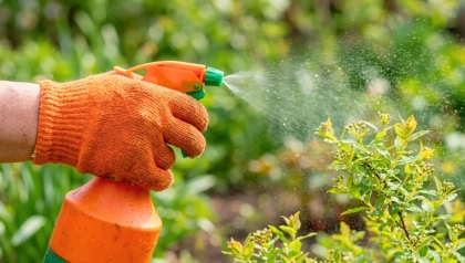 Connaissez-vous le chitosan, ce produit naturel utilis� pour prot�ger les jeunes plants au printemps ?