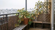 Ces courges d'hiver poussent en pot, m�me sans jardin : les vari�t�s qui transforment un balcon en garde-manger