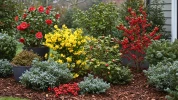 Cr�ez un jardin d'hiver magique pour No�l avec des arbustes persistants color�s, parfum�s et faciles � entretenir