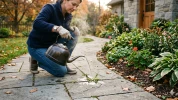 Sel entre les pav�s : ce geste de printemps d�sherbe les joints sans fatiguer durablement la terre du jardin