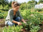 Entre plaisir et efficacit�, le potager r�compense surtout les jardiniers qui misent sur ce simple geste au quotidien