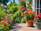 Ces fleurs plant�es en juin apportent encore de la couleur avant les chaleurs estivales