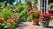 Ces fleurs plant�es en juin apportent encore de la couleur avant les chaleurs estivales