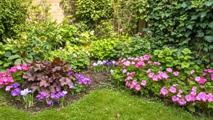 Jardin fleuri sans se ruiner ni y passer ses dimanches : ces 6 plantes r�sistantes font tout le travail � votre place