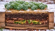 Le jardinage en lasagne, cette �trange m�thode d'hiver qui rend votre sol plus riche sans le toucher de tout l'hiver