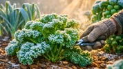 M�me � -10 �C, votre sol peut nourrir toute la famille : les l�gumes d'hiver que les jardiniers malins adorent