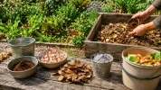 Ne jetez plus ces produits du quotidien, ils peuvent devenir de pr�cieux alli�s naturels au jardin