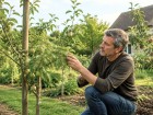 P�cher, figuier, pommier, cerisier : dans combien de temps esp�rer les premi�res r�coltes ?