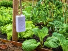 Savon parfum� au jardin : une solution douce et �conomique qui gagne � �tre associ�e � d'autres gestes naturels