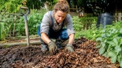 Un sol argileux devient plus facile � travailler gr�ce � quelques gestes simples et peu co�teux