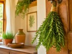 Voici comment un simple bouquet de romarin frais cet �t� va assainir tout votre int�rieur