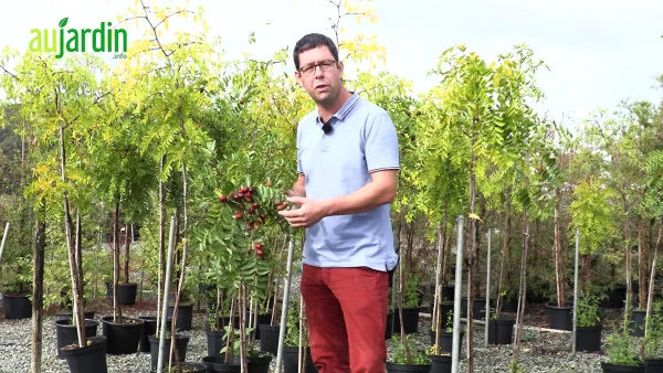 Marc-Henri Doyon : expert du v�g�tal et co-g�rant des P�pini�res Ripaud