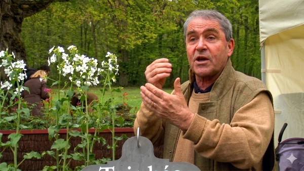 Thierry Denis du Jardin du Morvan