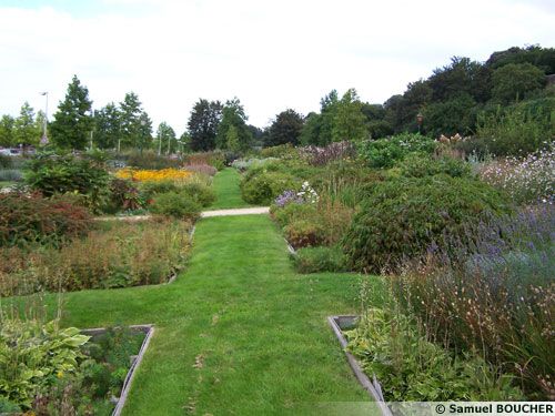 Les jardins du Quai Louis Blanc (72)