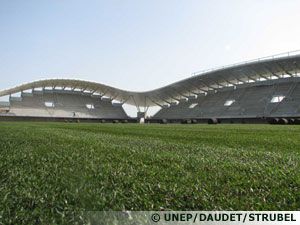 La pelouse d'un stade de rugby est soumise à rude épreuve