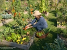 Le potager en carrs, avec la mthode franaise