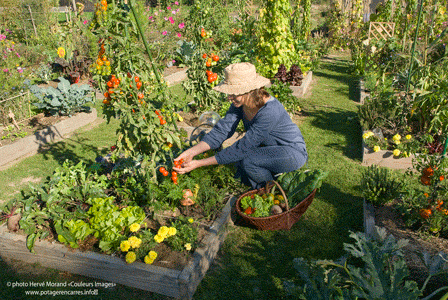Anne-Marie Nageleisen nous explique les bases du potager en carrés