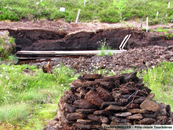Briquettes et taille r&eacute;cente de tourbe, tourbi&egrave;re du Forbonnet &agrave; Frasne (25)